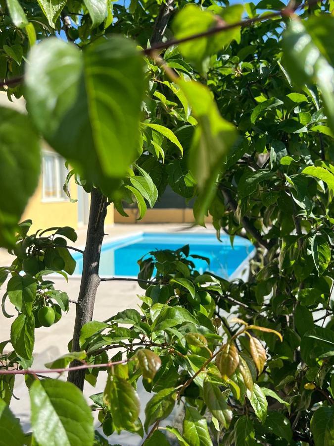 Casa Vacanze Mare Fuori คาโปแตร์รา ภายนอก รูปภาพ